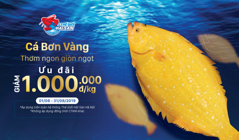 HS-Ca-Bon-Vang-web-preview