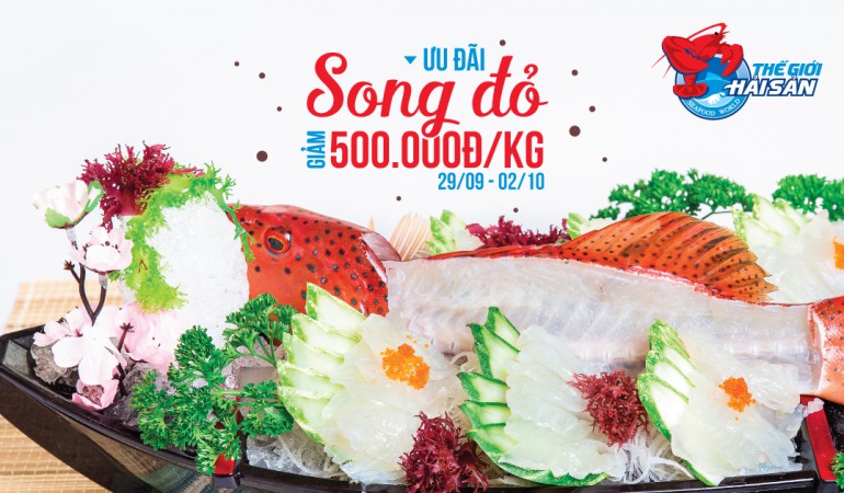 HS-SongDo-500k