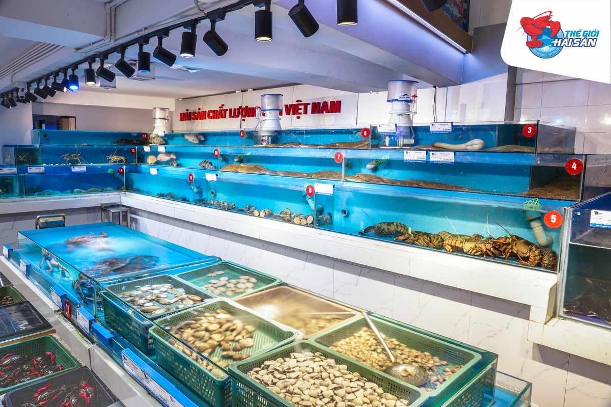 Mô hình bể nuôi hải sản tại nhà hàng Thế Giới Hải Sản