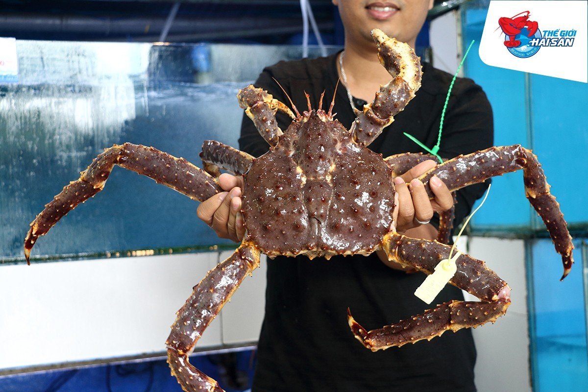 King Crab at Seafood World