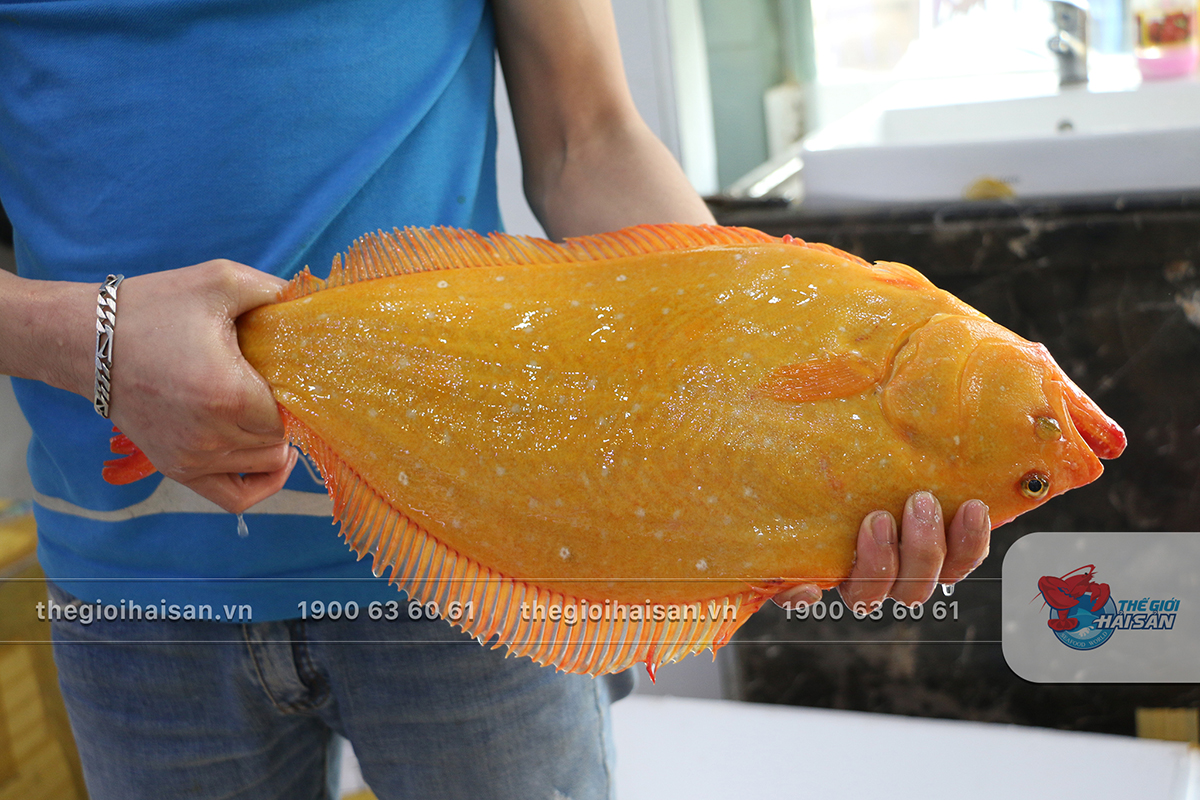 Fresh and delicious golden flounders at Seafood World