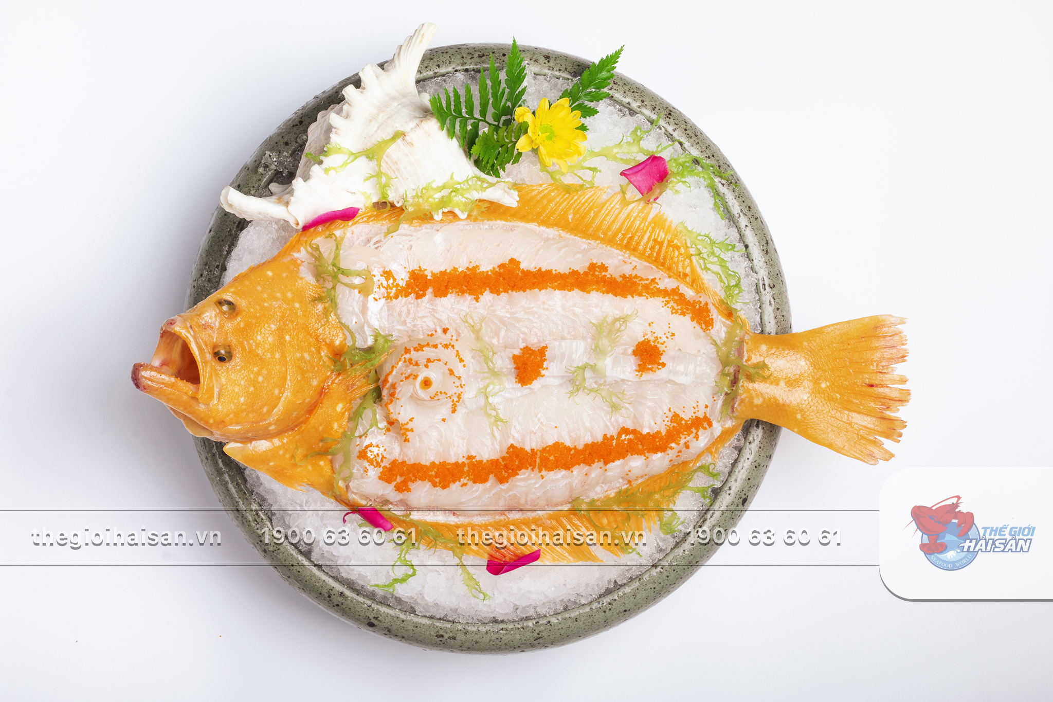 Golden flounder sashimi – One of the most popular dishes at Seafood World