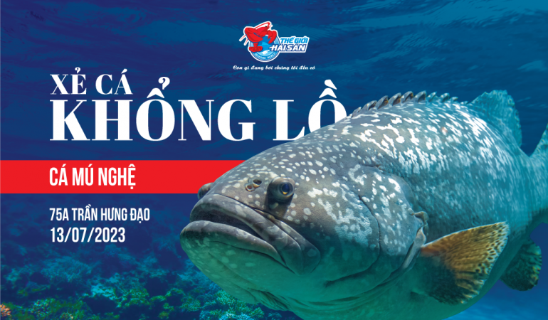 Sự kiện xẻ cá mú nghệ khổng lồ tại Hà Nội