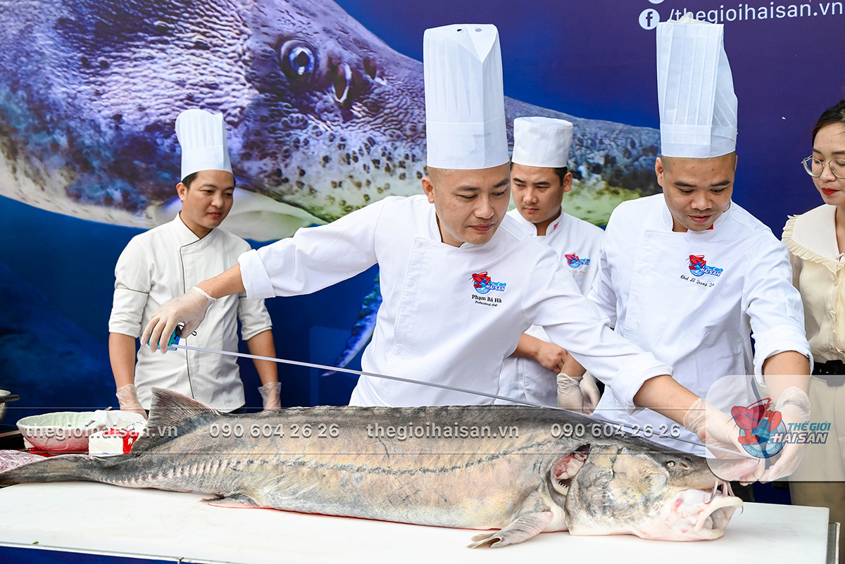 Chef công bố 1m78 là chiều dài của cá