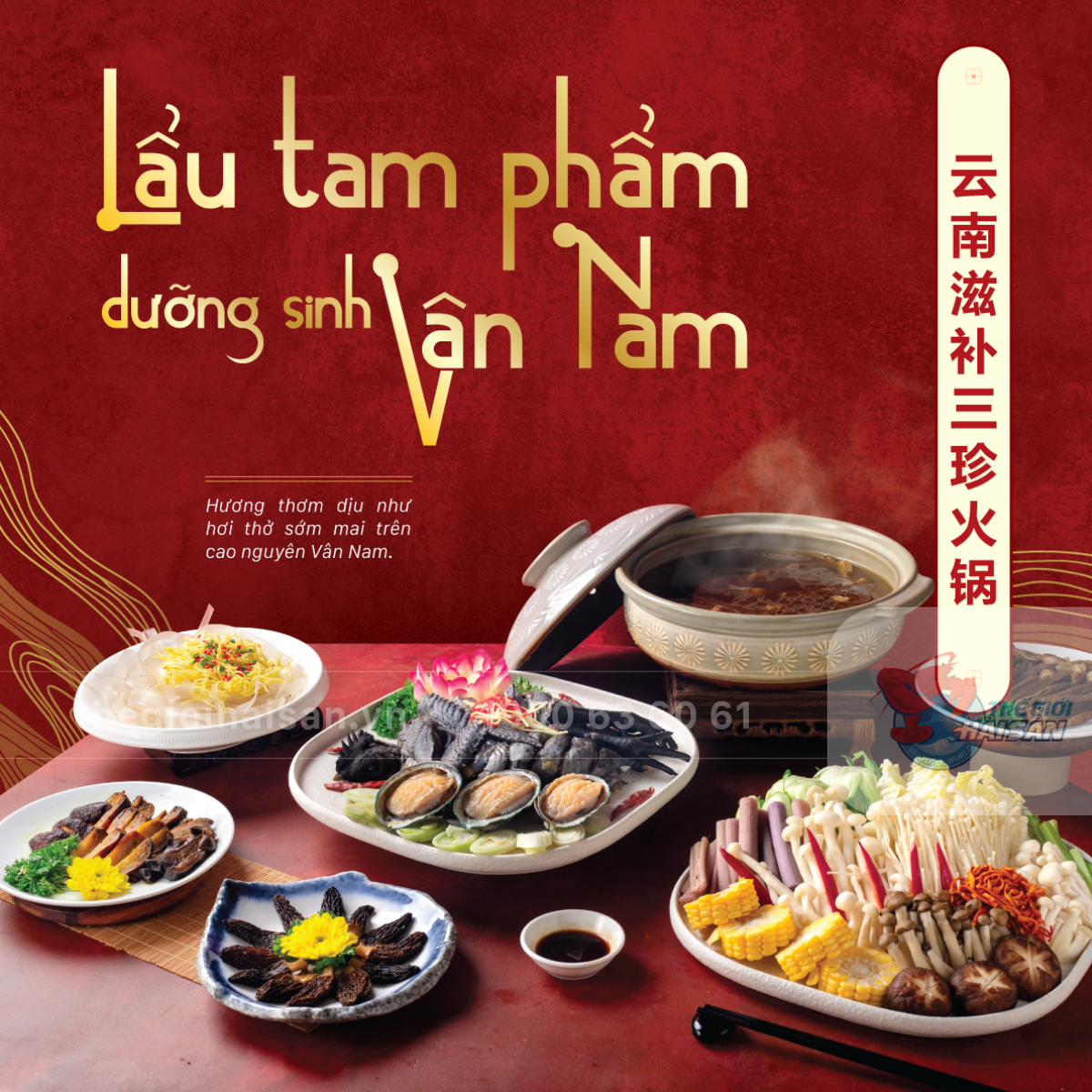 taste-of-china-hoa-vi-xuyen-huong-giao-vi-a-dong-5