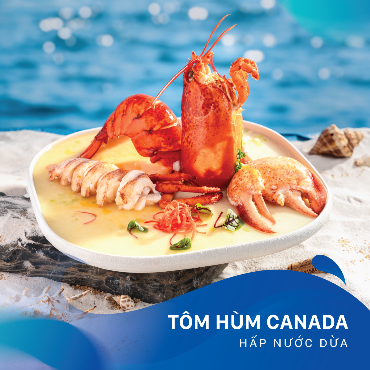 Tôm hùm Canada hấp nước dừa